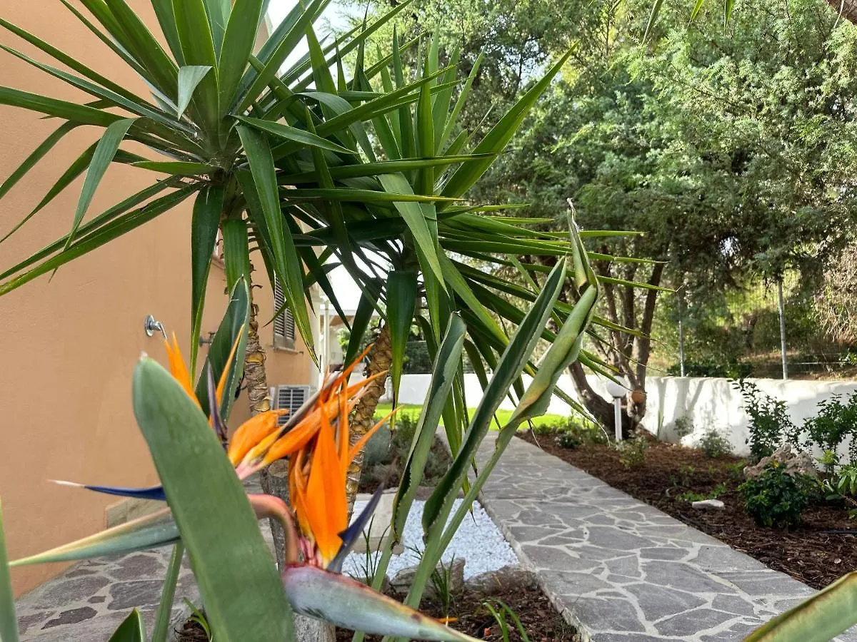 My Happy Place Calasetta Casa vacanze